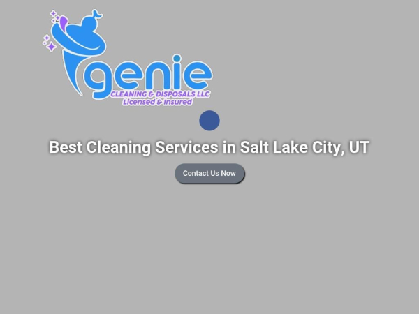 geniecleaningllc.com